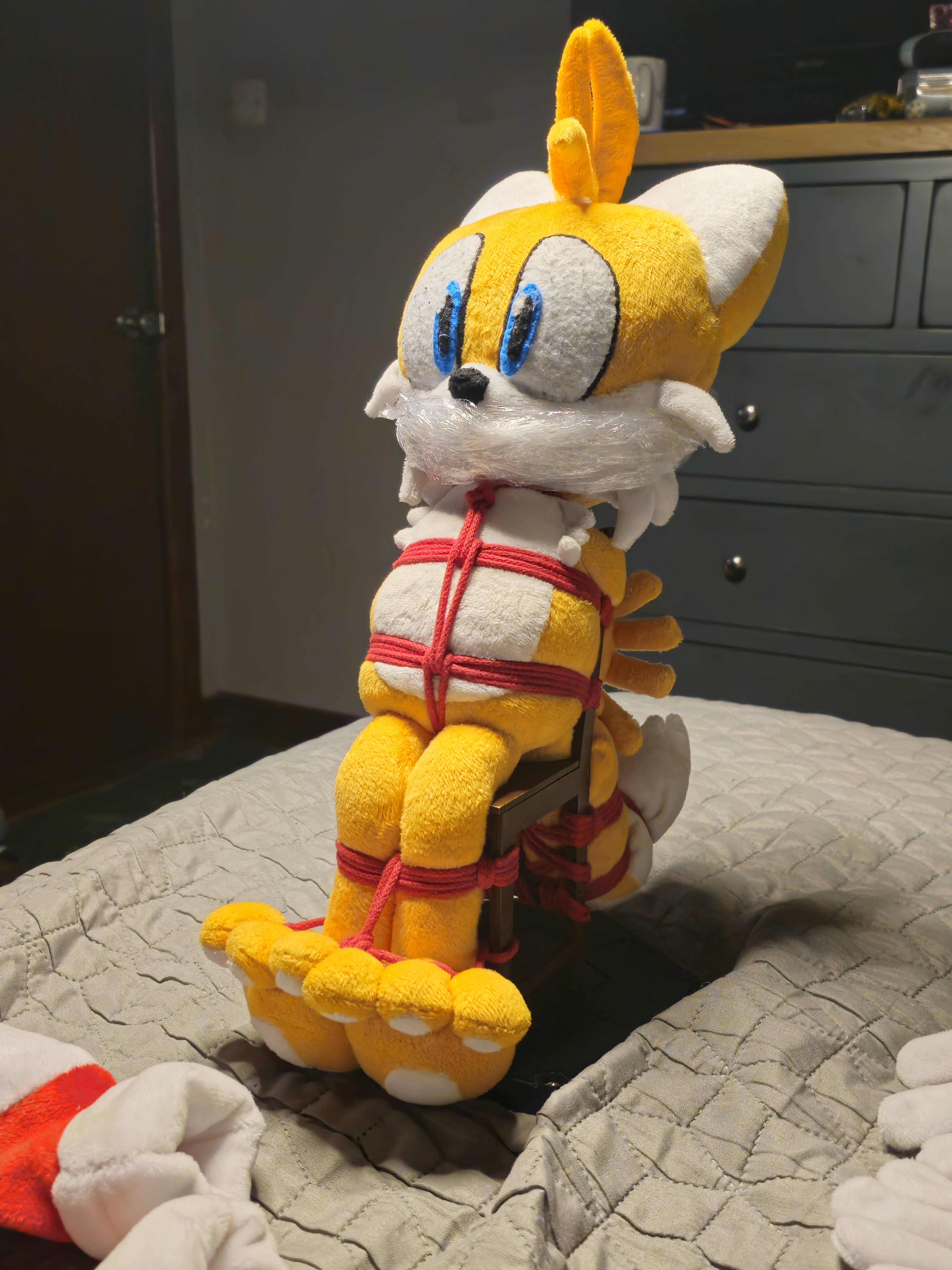 Tails Bath Rope Tied Tails Gift for TiedTailsFan by Shadowultd on DeviantArt