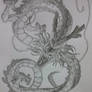 Shenlong