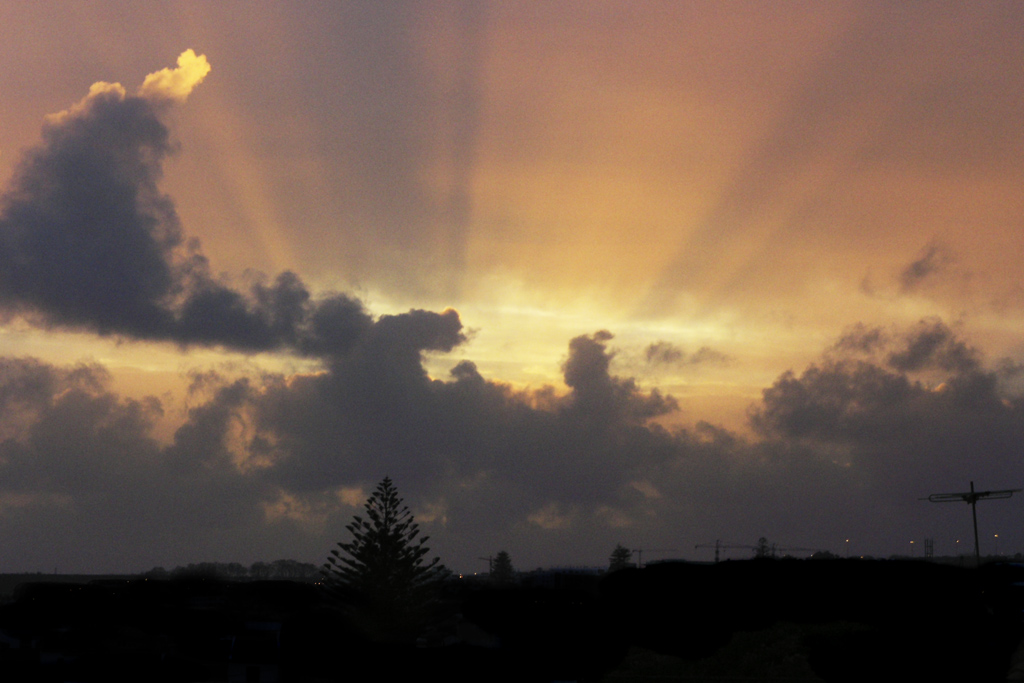 rays of light