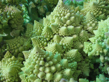 Romanesco Cauliflower