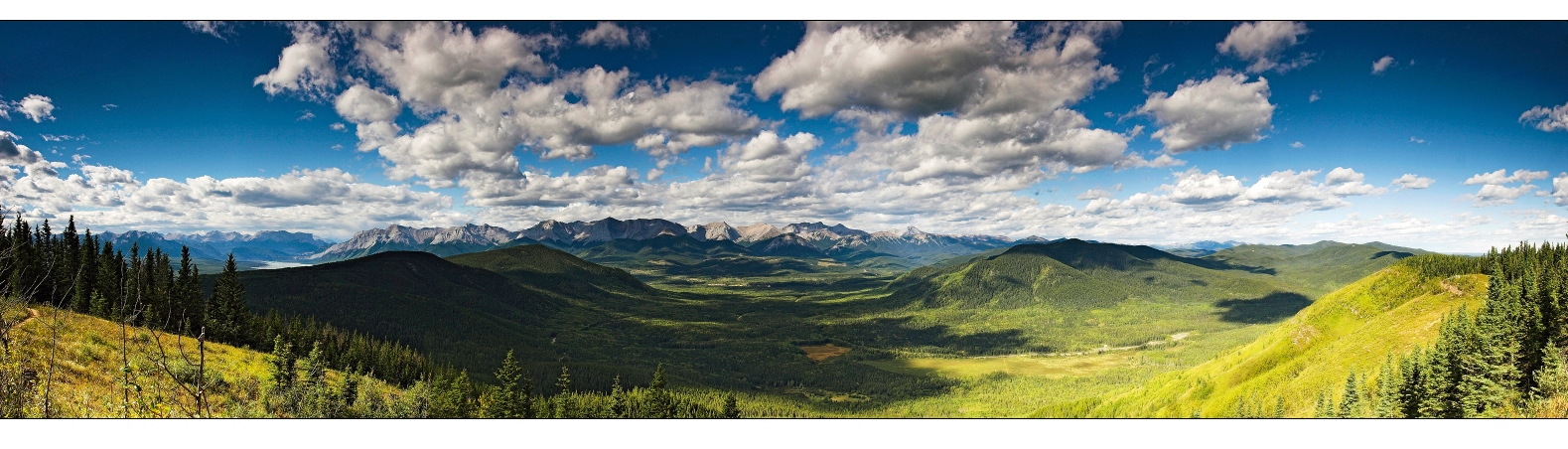 The Athabasca Lookout