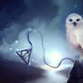 Hedwig fan art!