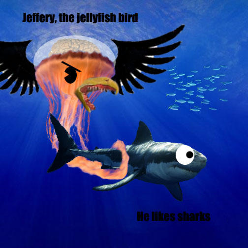 i am literally a jellyfish — zephyraes: STIMBOARD - opila bird (opila bird )