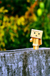 Walking a way DANBO