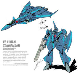 VF-11MAXL Thunderbolt