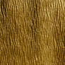 Texture 21