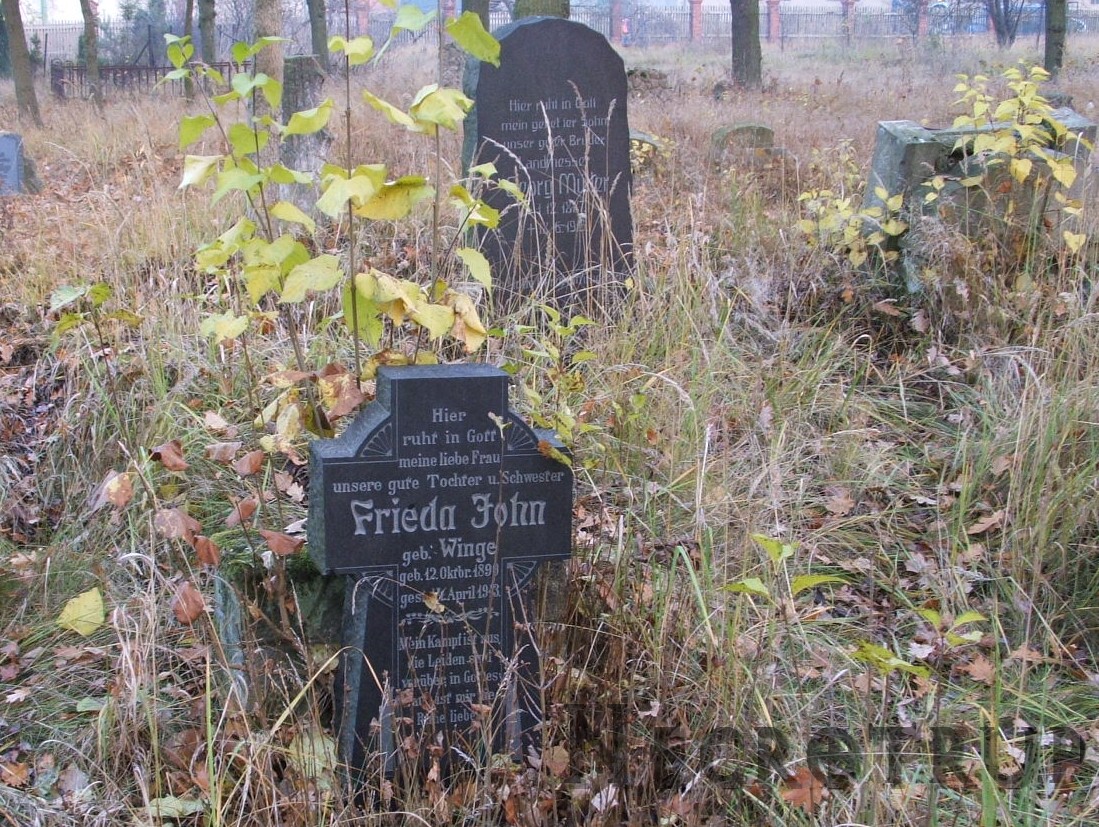 Graves in grass II