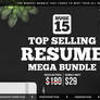 15 Top Selling Resume Mega Bundle