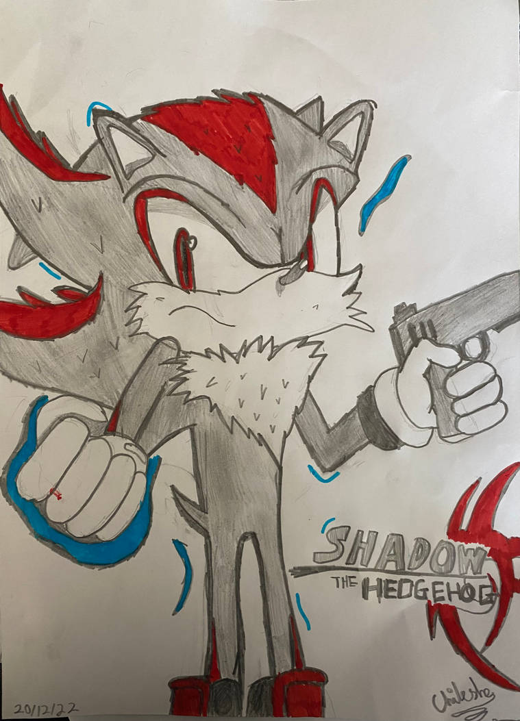 Shadow The Hedgehog by HolyChili on DeviantArt