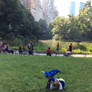 In the Central Park, NYC #2