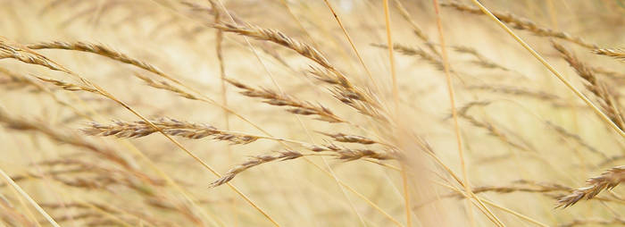 Colours of the wind