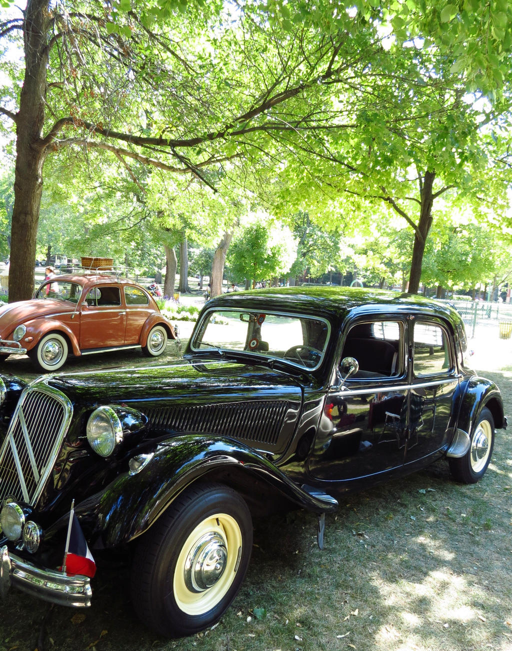 1953 Citroen - Side View