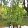 Looking Past the Weeping Willow