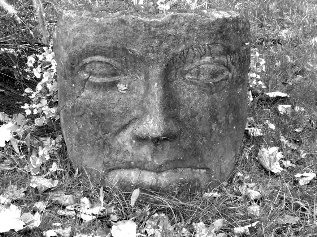 A Face Set in Stone