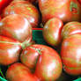 Large Striped Tomatoes