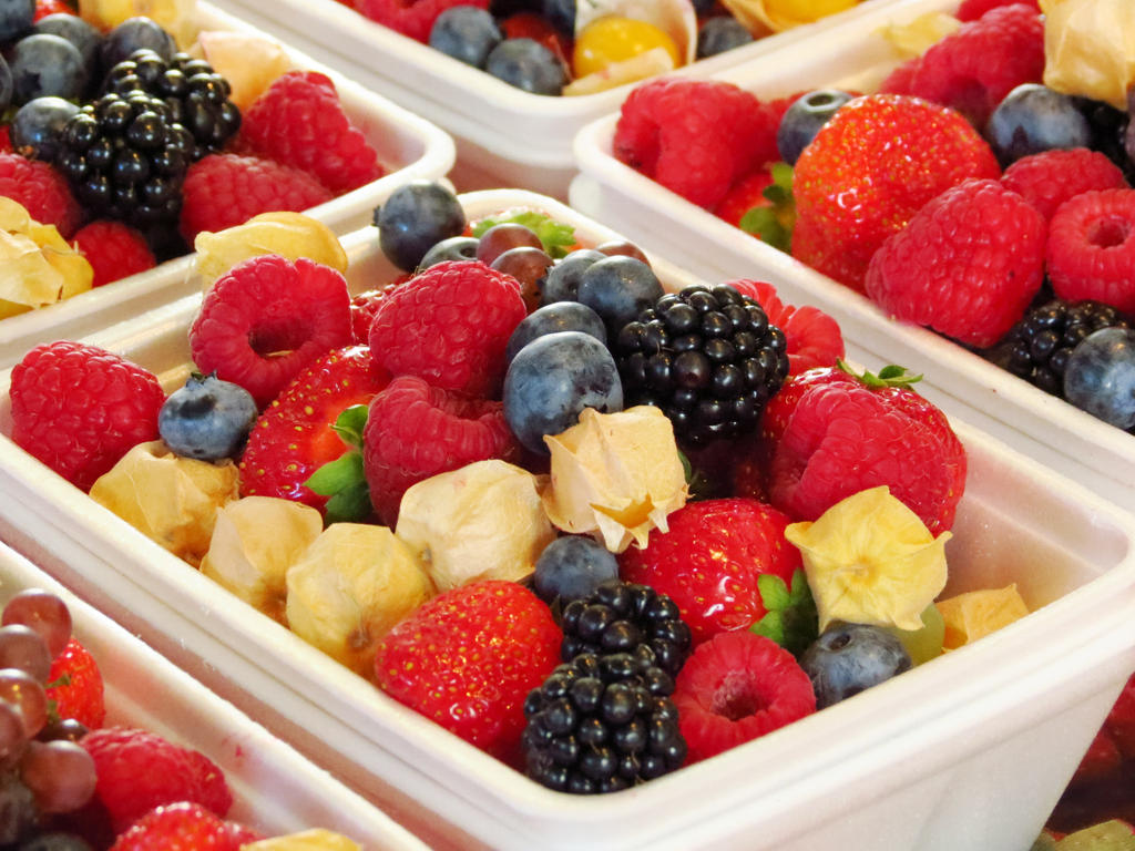 Berry Paradise by Kitteh-Pawz on DeviantArt