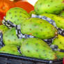 Unripe Cactus Pears