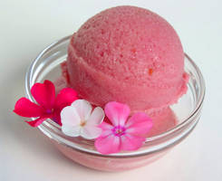 Rhubarb Sorbet