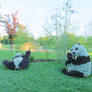 Mosaic Living Sculpture - Pandas