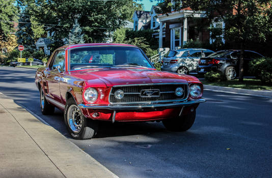 1967 Ford Mustang GTA 390