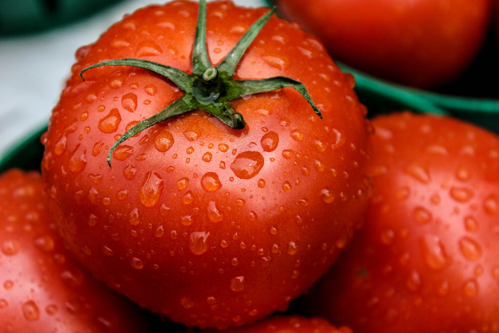 Fresh Tomatoes