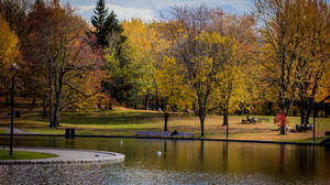 Autumn at Beaver Lake