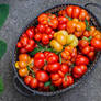 Reisetomate Tomatoes