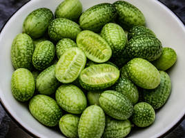 Lil' Ity Bity Cucamelons