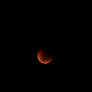 Lunar Eclipse 16-06-11