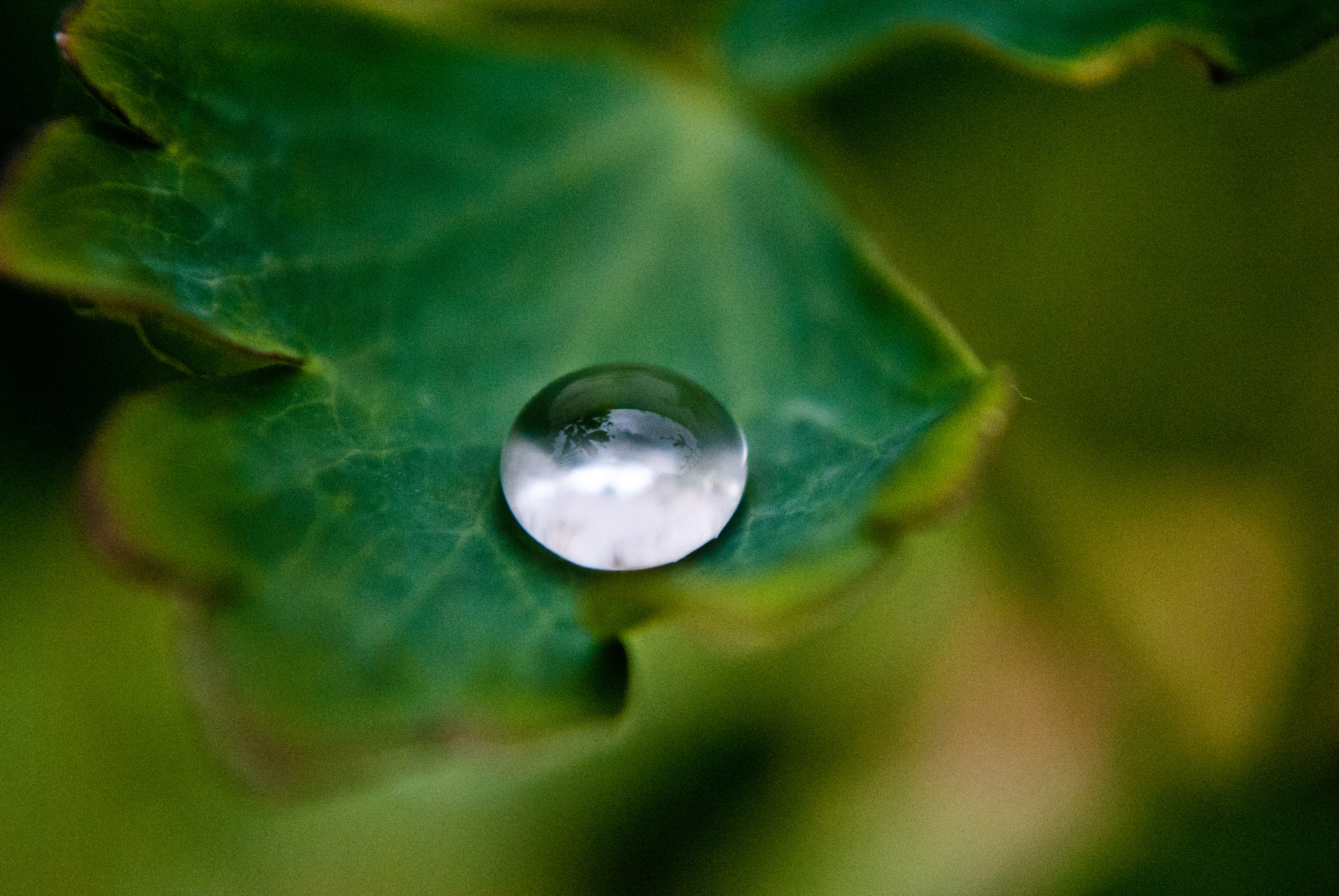 A lonely water drop