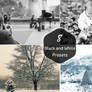 8 Free Black and White Presets