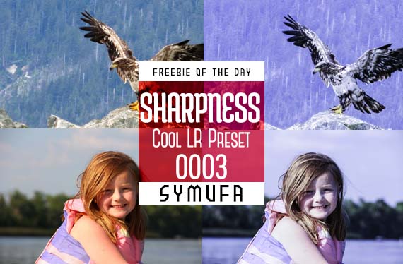 Cool Sharpness Lightroom Presets 0003 by symufa