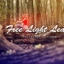 Light Leaks Photoshop Actions : Free Download