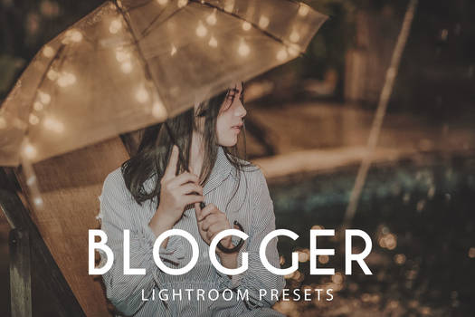 Free Blogger Lightroom Presets