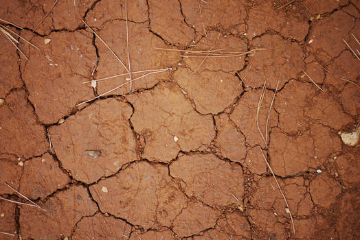 Cracked red earth
