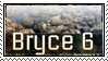 Bryce 6