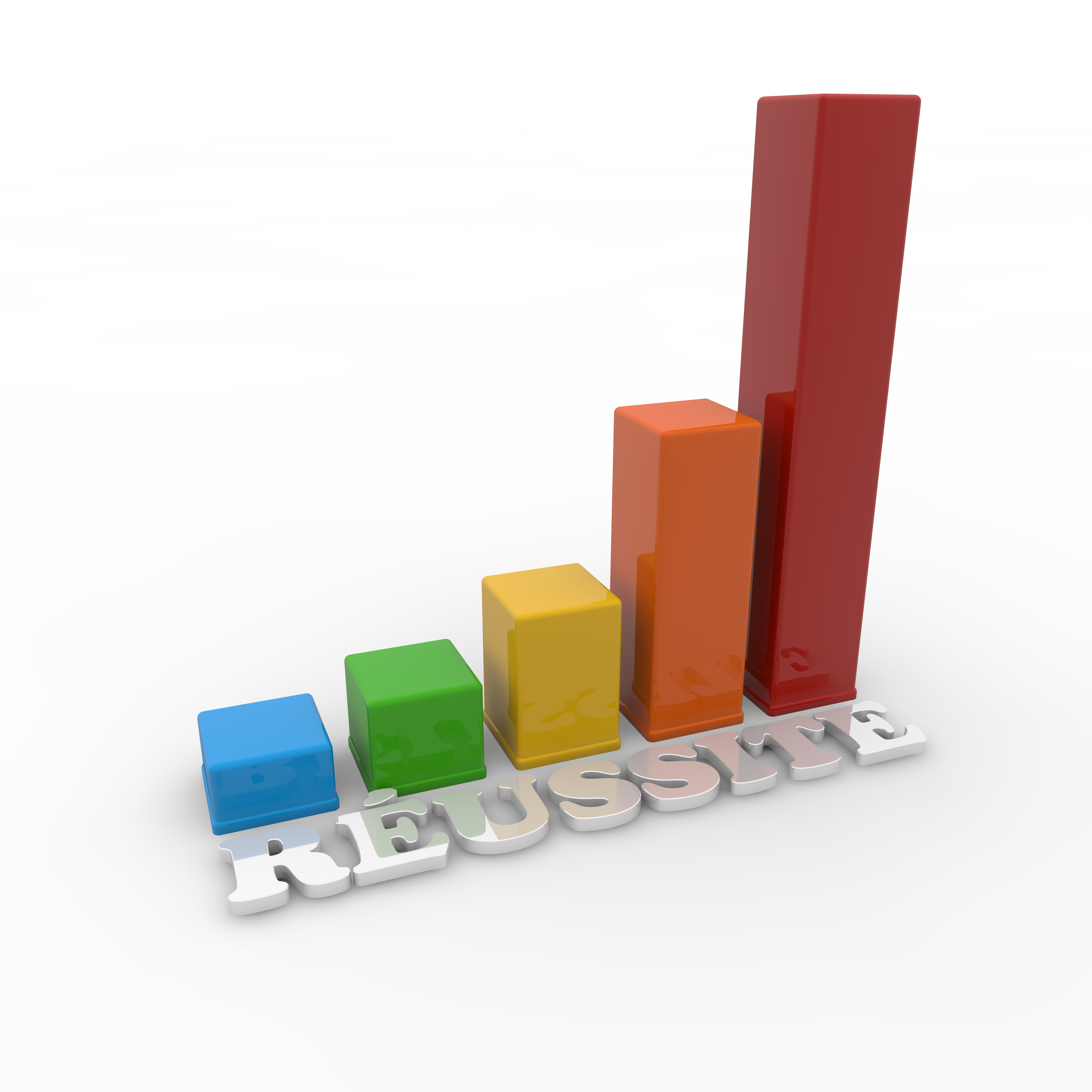 Picture reussite statistique