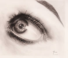 eye study