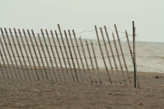 Old wooden fence