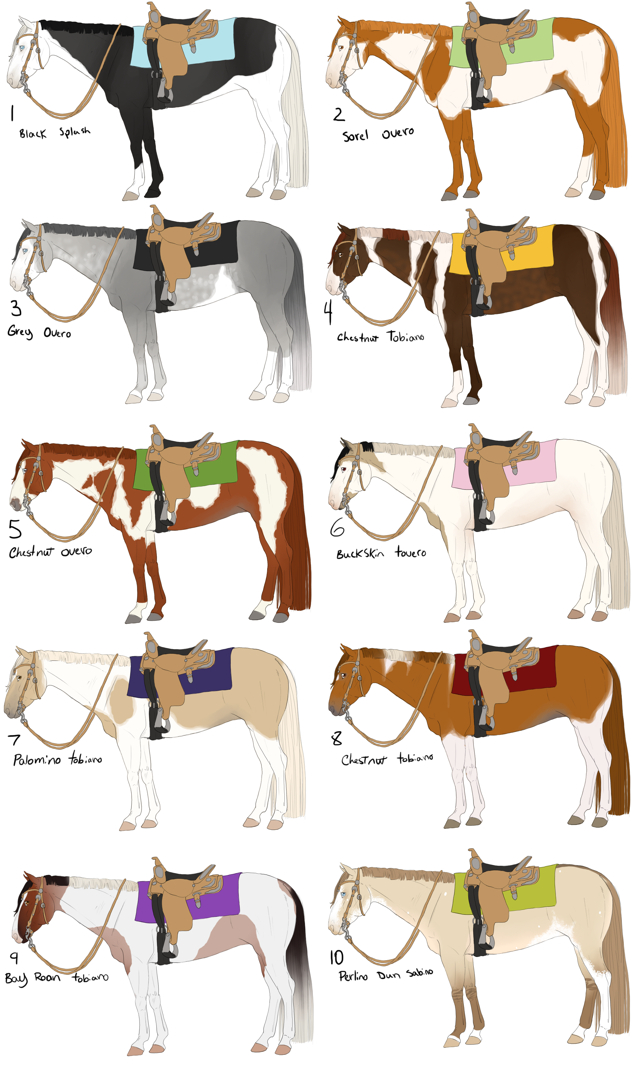 Free Western American Paint Horse By Emii M On Deviantart