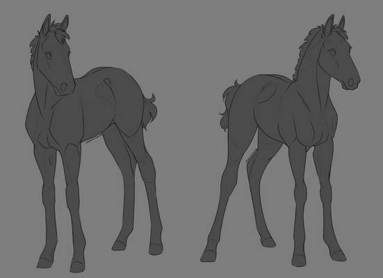 P2U Foals Linearts