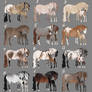 Mystery Foal Adopts CLOSED