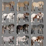 Mare and mystery foals CLOSED