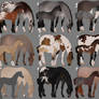 Mystery Foals Adopts CLOSED