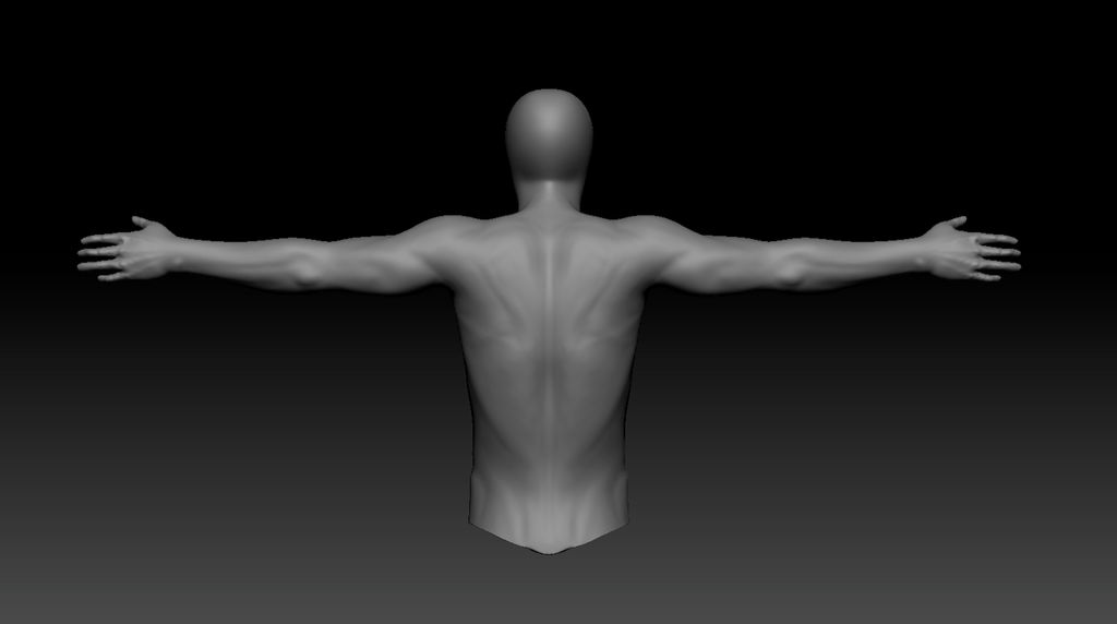 Subhuman Back anatomy Back by CerebralCortex27 on DeviantArt