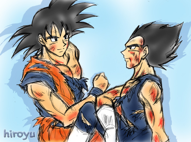 Goku and Vegeta 9