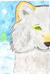 .:ACEO Nao:. by AnimeWolveslover