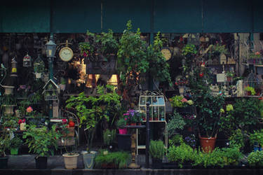 Marche aux Fleurs by Kantiki