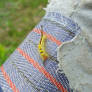 Fuzzy Yellow Caterpillar