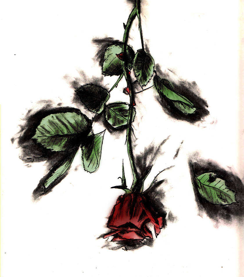 Inverted Rose Pattern Inverted rose 2 by Tigritior on DeviantArt